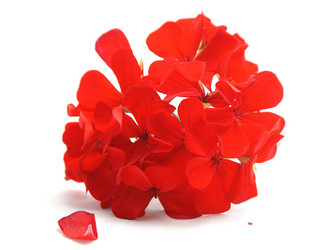 Similar image 269936