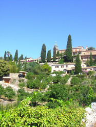 Similar image 269943