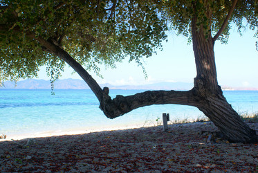 Similar image 269948