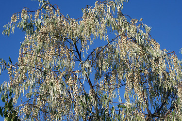 Similar image 270019