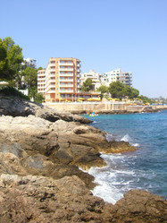 Similar image 270174