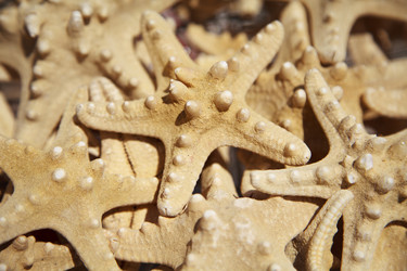 Similar image 270182