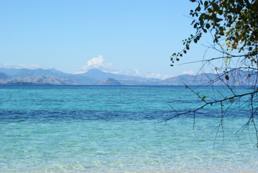 Similar image 270196