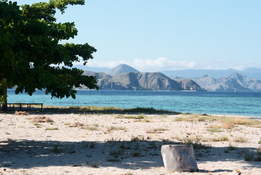 Similar image 270197