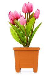 Similar image 270226