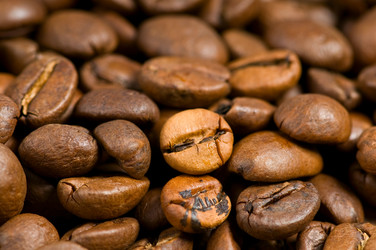 Similar image 270229