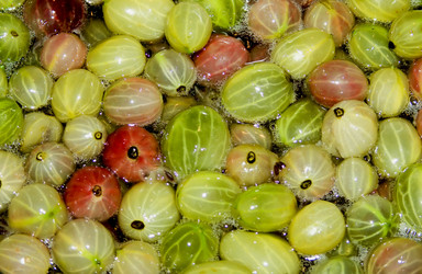 Similar image 270270