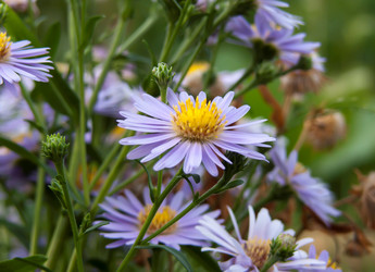 Similar image 270310