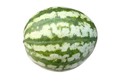 Similar image 270373