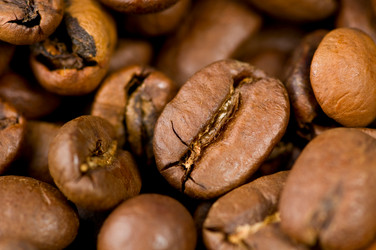 Similar image 270393