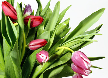 Similar image 270479