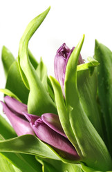 Similar image 270480