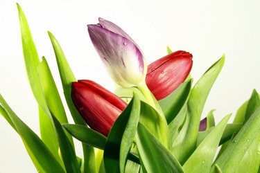 Similar image 270484