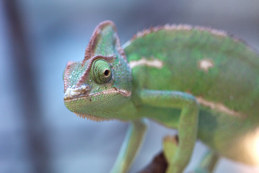 Similar image 270496