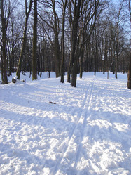 Similar image 270503