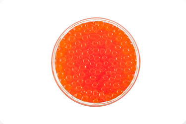 Similar image 270544