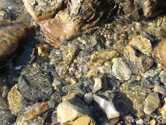 Similar image 270547