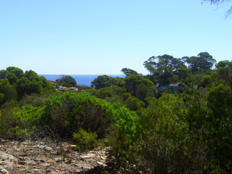 Similar image 270580