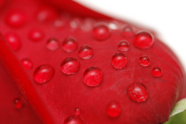 Similar image 270606