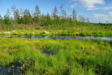 Similar image 270654