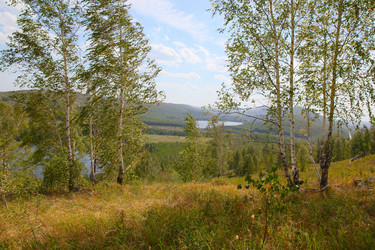 Similar image 270668