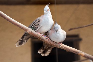 Similar image 270694