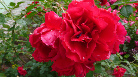 Similar image 270695