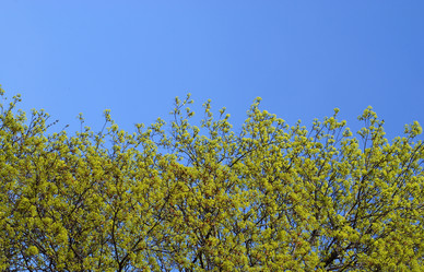 Similar image 270703