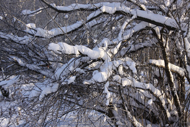 Similar image 270711