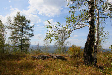 Similar image 270729