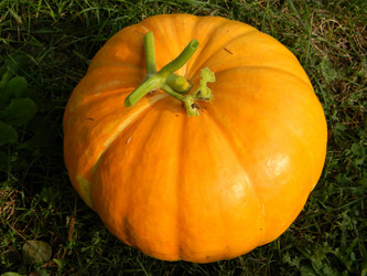 Similar image 270736