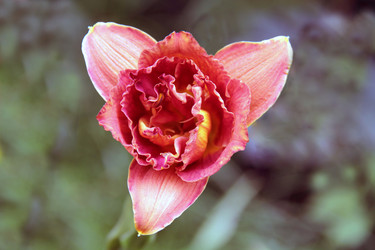 Similar image 270757