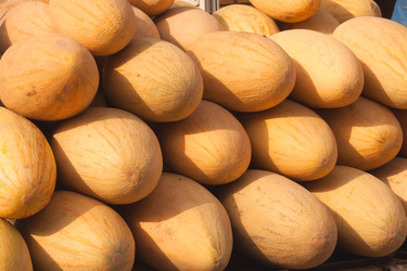 Similar image 270767