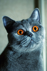 Similar image 270822