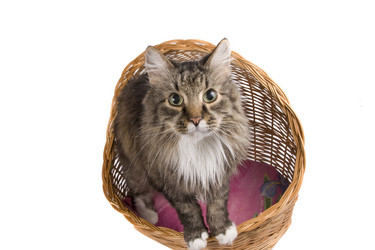 Similar image 270831