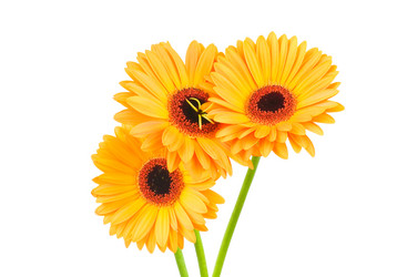 Similar image 270851