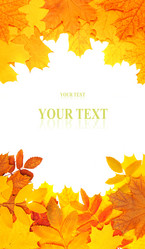 Similar image 270891