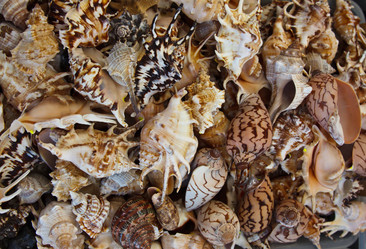 Similar image 270896