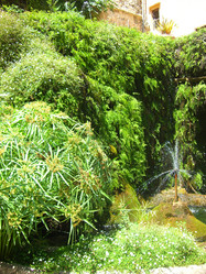 Similar image 270908