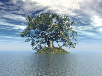 Similar image 270911