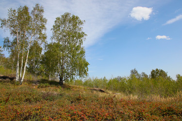 Similar image 270943