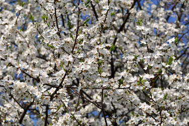 Similar image 270968