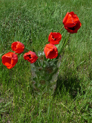 Similar image 270974