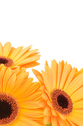 Similar image 270977