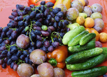 Similar image 271004