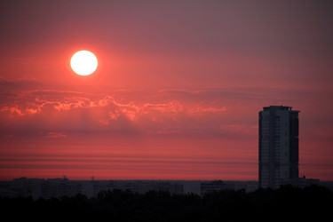 Similar image 271029