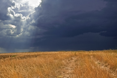 Similar image 271042