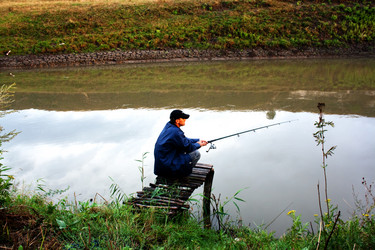 Similar image 271043