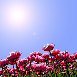 Similar image 271095