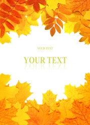 Similar image 271128